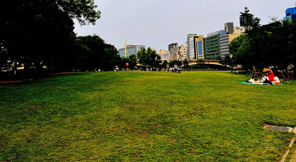 中之島公園の芝生広場の様子